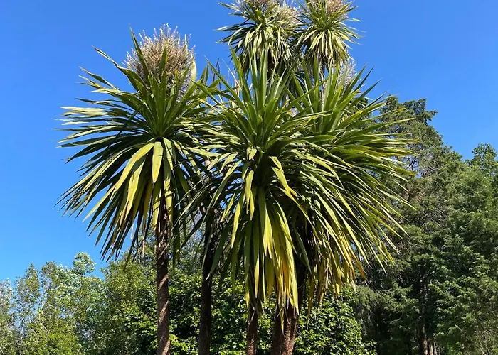 Casa de Férias Quinta-da-encavalada